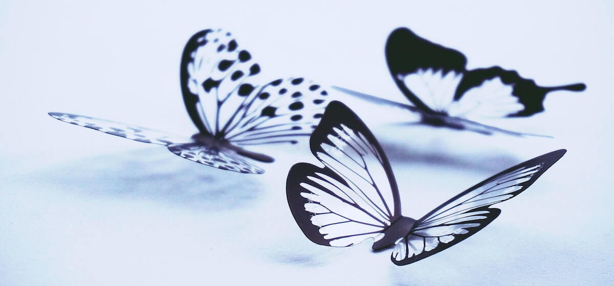 butterflies